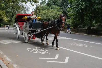 Animal rights group NYCLASS spends millions to ban horse carriages in Big Apple