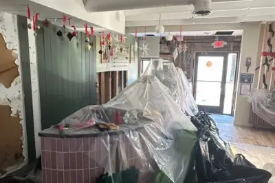 Virginia cat café shutters for rest of year after mischievous kitten floods business in ‘series of freak accidents’