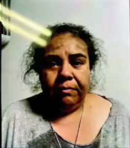 California illegal immigrant faked ICE ‘kidnapping’ at fast-food joint for fundraiser scam — as family pleaded for public’s help: DOJ