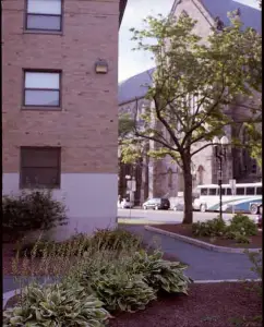 Fowl play: Broken elevators at public housing complex left residents stranded on Thanksgiving