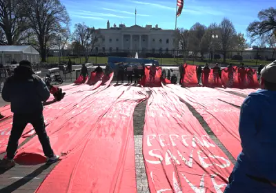 White House halts World AIDS Day recognition amid HIV funding cuts