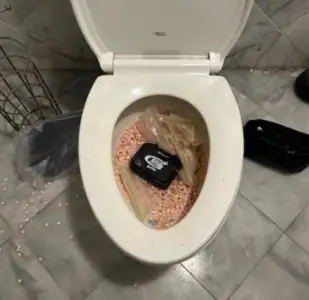 Massachusetts man on house arrest busted after allegedly trying to flush fentanyl down the toilet