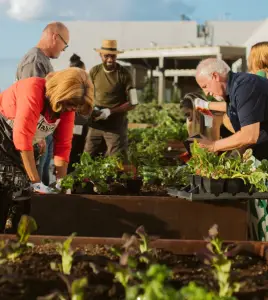 Is the community garden becoming the must-have amenity?
