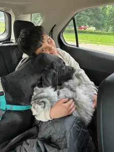 Waiting for a mentor: Zeek