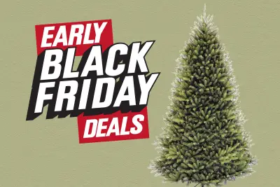 Skip the Balsam Hill tree and buy this Dunhill Fir at 62% off — under $150