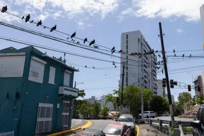 Puerto Rico demanda a Luma para cancelar contrato en medio de apagones crónicos y aumento de tarifas