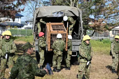 Japan dispatches troops to help combat deadly bear attacks