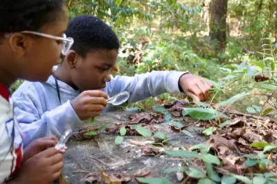 Environment Sandy Springs teaches kids to be EcoSleuths at home