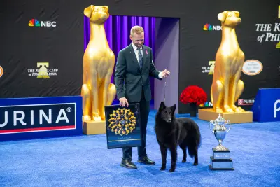 National Dog Show champ Soleil shocked even her handler in the drive to become top dog: ‘It’s like she can feel the crowd’