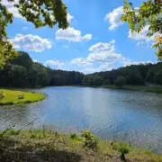 Georgia panel raises state park fees with additional price hikes in the works 