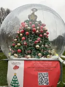 Hotel displays 25-foot-tall Christmas tree — made of 100K balloons