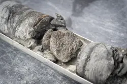Denver dino museum makes a find deep under own parking lot. Like ‘a hole in one from the moon.’