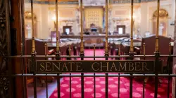 Special elections to decide whether DFL, GOP control MN Senate