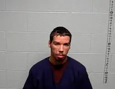 Illinois man Erik Crump allegedly set home ablaze on Thanksgiving following heated argument