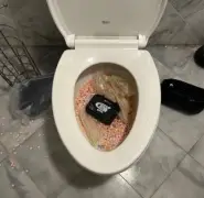 Massachusetts man on house arrest busted after allegedly trying to flush fentanyl down the toilet