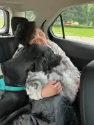 Waiting for a mentor: Zeek