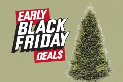Skip the Balsam Hill tree and buy this Dunhill Fir at 62% off — under $150