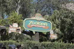 Disney unveils massive transformation at Animal Kingdom with new Zootopia show