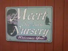 ‘Iconic’ Christmas tree farm hits the market for $2.2M in Missouri