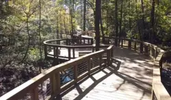 City leaders celebrate new ADA-accessible boardwalk at Dunwoody Nature Center