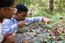 Environment Sandy Springs teaches kids to be EcoSleuths at home
