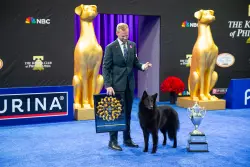 National Dog Show champ Soleil shocked even her handler in the drive to become top dog: ‘It’s like she can feel the crowd’